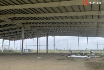 COMISION 0% Hala industriala 5500 mp utili zona de Nord Timisoara - ID V5143 - 7