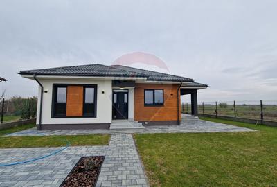 Casă / Vilă cu 3 camere de vânzare Ciocanesti - 1