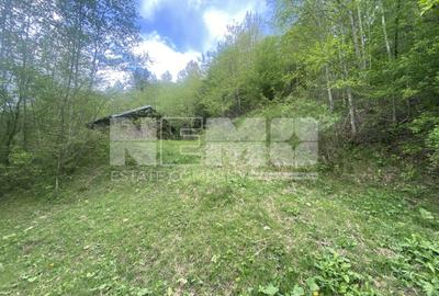 Teren Intravilan | Câmpulung Moldovenesc | 31ARI - 2