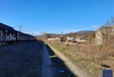 Spatiu de productie, fosta balastiera, Conop, 9100 mp - 5