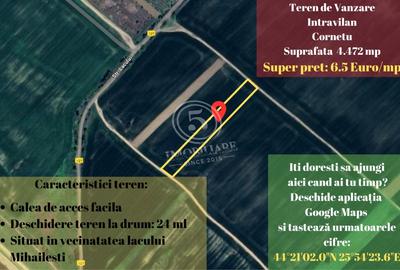 Teren agricol intravilan de 4472 mp, în Cornetu