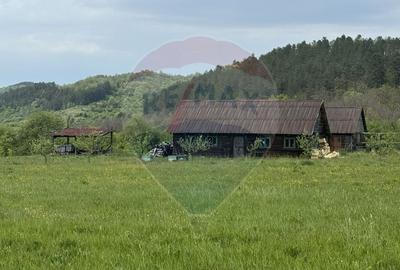 Proprietate OFF-GRID 5,76 Ha. Casa tradiționala lemn. Limită Cluj - 11