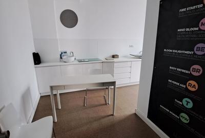 Vila renovata Dorobanti Capitale - 8