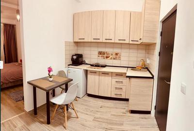 Garsoniera moderna si spatioasa - 6