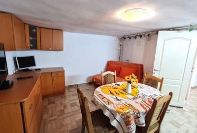 Apartament 2 camere la demisolul unei case,  zona Sub Arini - 4