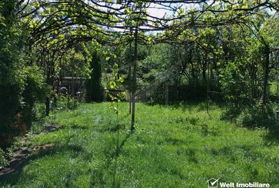 De vanzare casa  cu teren 1520mp sat Dumbrava, Capusu Mare - 13