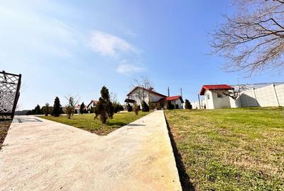Domeniul de langa Fetesti, Maltezi, ideal pentru evenimente - 18