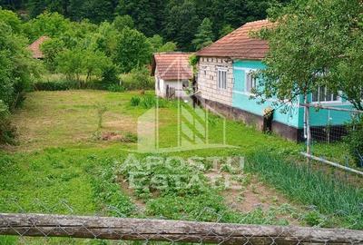 Casa batraneasca de vanzare, 4 camere, in Hunedoara, sat Micanesti - 35