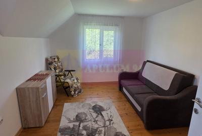 Vila de vanzare in Breaza-Nistoresti cu 7068 mp - 26