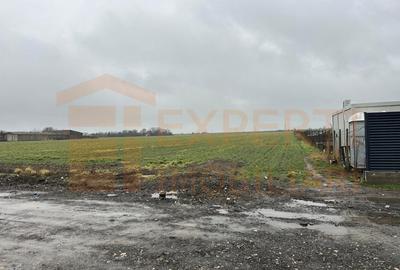 Teren 14.785 mp , zona Ovidiu, Constanta - 1