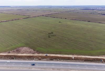 Teren Intravilan 29.777 mp – A3 – Ștefăneștii de Jos - 4