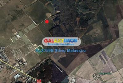 Teren Construcții intravilan de 8601 mp, în Sud
