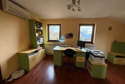 Casa 240 mp utili P+M, 9000 mp teren, Girov, Jud. Neamt - 13