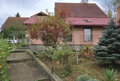 Casa deosebita, 3000 mp teren, 6 camere zona linistita - Barcani - 2