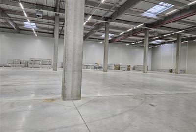Spatiu Industrial - 3500 mp - Logistica - Productie - Depozitare - Distributie - 7