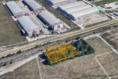 Prezentare Teren Baneasa / Greenfield - 1