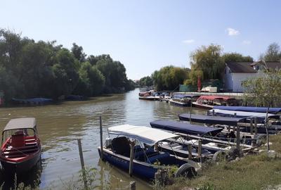 IN INIMA DELTEI-INTRAVILAN MURIGHIOL: 2000mp / case de vacanta/pensiunii - 5