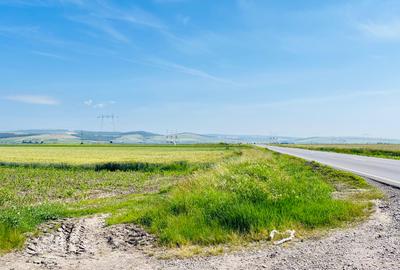 Teren extravilan de vanzare - 2