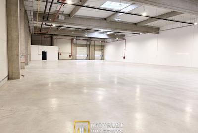 Hala de inchiriat Arad A1 – spațiu industrial modern 2.349 mp - 7