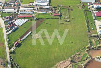 Comision 0% I Teren intravilan I 9.5 Ha I Băleni - 5