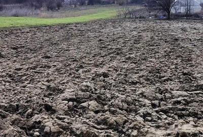 Varasti-Dumbrava Noua - 6