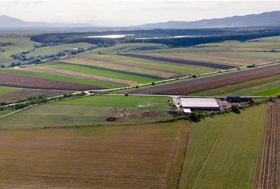 FILM! Zona extinsa, teren mixt,18.000 mp, ideal agro-investitii, Rotbav, Brasov - 2