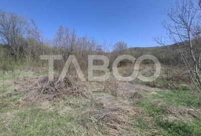 Teren intravilan de vanzare 1450 mp Slimnic Sibiu - 1