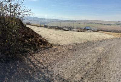 📏 teren pentru cabane Sibiu, Dealul Daii, Casolt, direct de la proprietar - 4