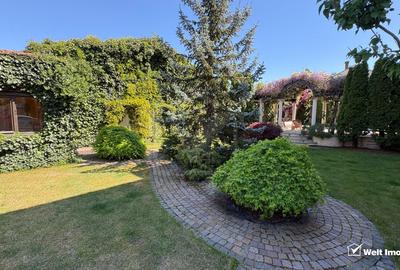 Vila superba in Andrei Muresanu, dotari de lux, piscina si SPA, 865 mp teren ! - 39