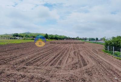 Teren- Com. Stefan cel Mare- jud. Neamt - 2