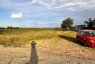 Teren 9.100 mp Răcari | ideal casă, livadă sau investiție | lângă DN71 - 2