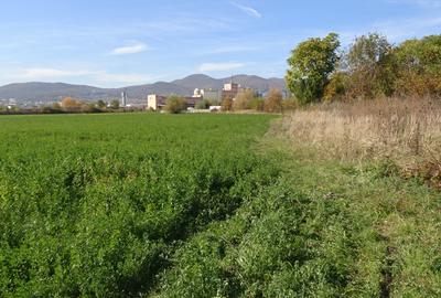 Vand teren intravilan in Deva suprafata totala 43 000 mp, zona Auchan - 3