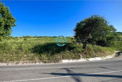 Vand teren intravilan in Sanisor cu suprafata de 4946 mp - 4