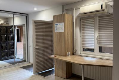 Vilă S+P+E+M cu 10 camere pentru birouri/clinica/gradinita/cresa - 16