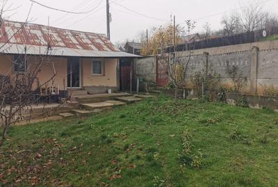 De vanzare casa in Argetoaia cu teren 7.000 mp - 1