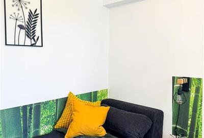 Apartament de inchiriat 3 camere Herastrau Parc - 21