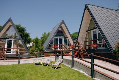 Proprietate specială, în Alexandru cel Bun