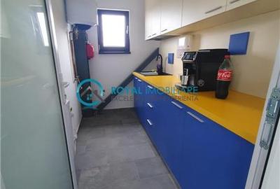Royal Imobiliare - Vanzare spatiu industrial in zona Paulesti - 17