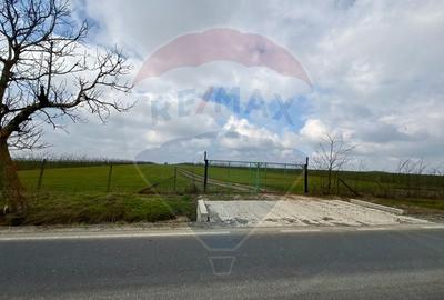 Teren extravilan Săcele ideal pentru silozuri, fermă sau investiție - 11