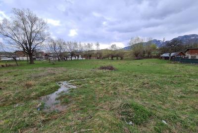 Teren Intravilan Tohanita - 4