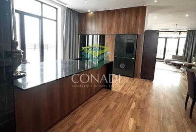 Baneasa-Iancu Nicolae, penthouse de inchiriat, mobilat si utilat - 5