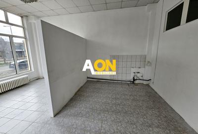 Spatiu de birouri, cabinete, 370 mp utili, parter, Cetate - 6