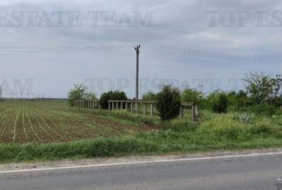 Teren Construcții intravilan de 7500 mp, în Cazasu