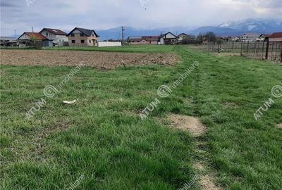 Eren intravilan 1400 mp de vanzare pe Valea Avrigului - 3