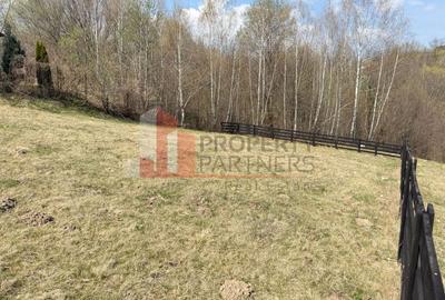 Teren Premium 1.200 mp | Bran - Predelut | Vedere spre Bucegi și Piatra Craiului - 13