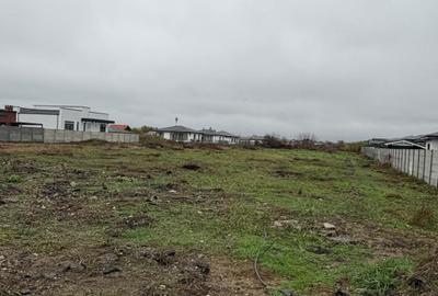 Tamasi, Corbeanca – teren 9838 mp - 6