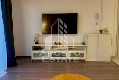 Apartament cu 2 camere de inchiriat, pet-friendly, Chisoda - 4