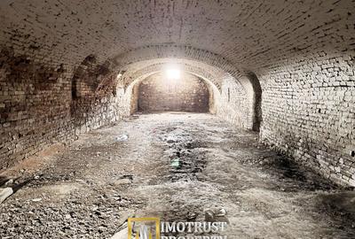 Castel istoric de vânzare în Conop | proprietatea lui Cicio Pop - 6