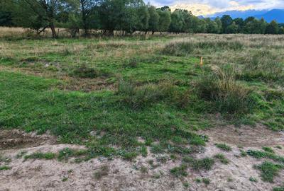 Teren rezidential RASNOV - Glajerie - 8