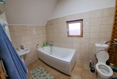 Delta Dunarii - Ilganii de Jos - casa cu deschidere la Dunare - 5